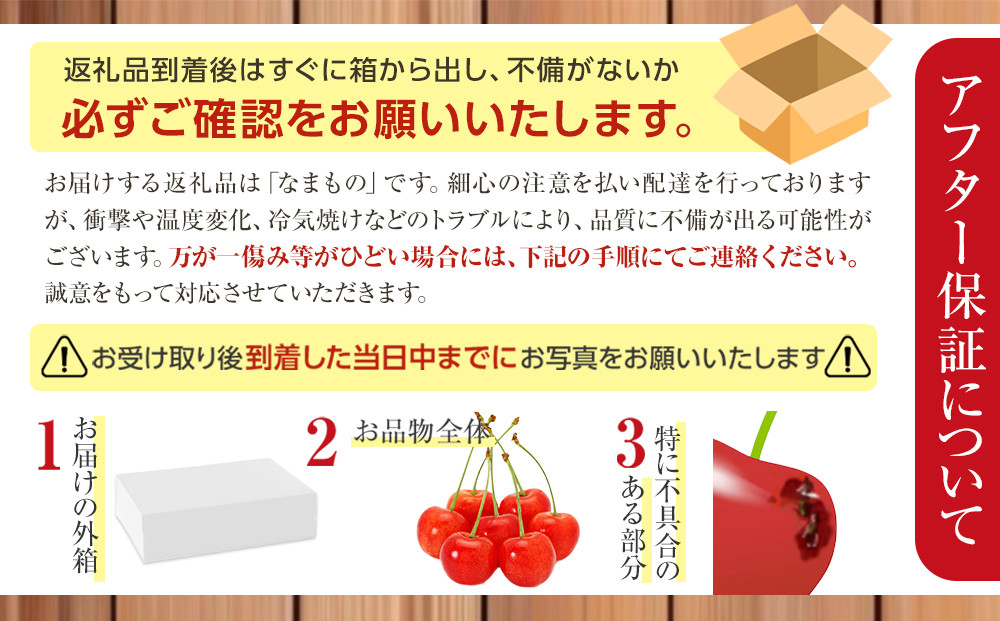 【先行予約】さくらんぼ佐藤錦 450g×2パック Mサイズ(2026年7月上旬から発送開始予定)_05816