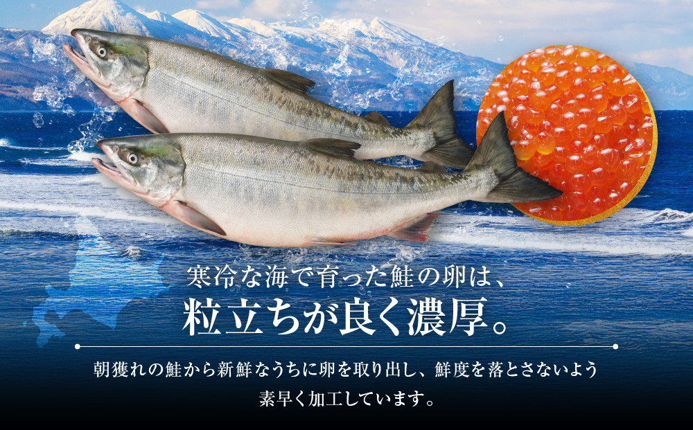 【26年10月発送先行予約】無添加 職人仕込み イクラ 200g (100g×2) 【いくら 醤油漬け いくら醤油漬 小分け 無添加 冷凍 魚卵 お取り寄せ 人気 鮭いくら 旭川市 北海道ふるさと納税 北海道】 _01595