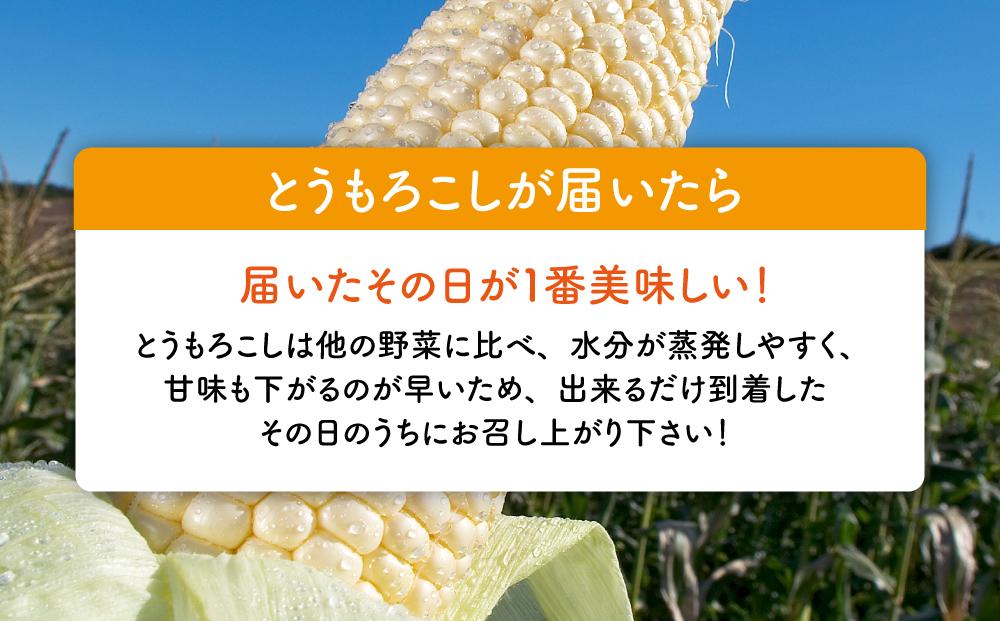 ã2026幎å
è¡äºçŽãçœããšããããããã¥ã¢ãã¯ã€ã 12æ¬ 3.6kgïŒ2026幎8æäžæ¬ããçºééå§äºå®ïŒã äººæ° åæµ·éç£ ç³åºŠ ç éè ã¹ã€ãŒãã³ãŒã³ ç£å°çŽé ããŒããã¥ãŒ BBQ ã³ãŒã³ æ¬ ãåãå¯ã æå·åž åæµ·é éæç¡æ ã_00407