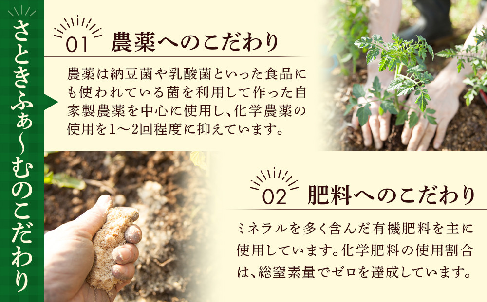 旭川市西神楽産 桃太郎トマト4kg（2026年6月中旬～発送開始予定）_00960
