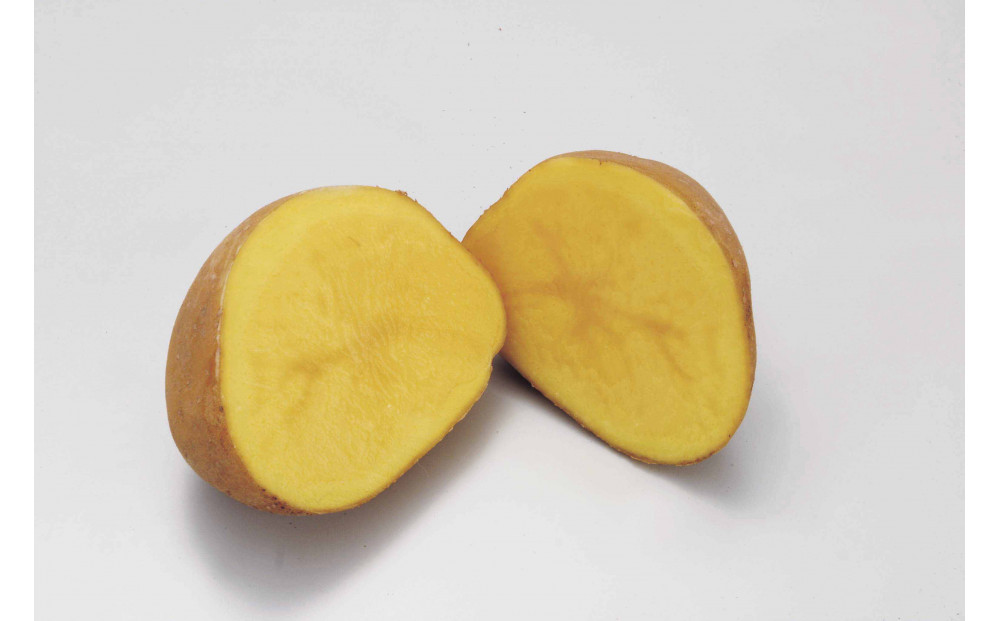 蝗ス逕」蜀キ蜃埼手除縲繧、繝ウ繧ォ縺ョ繧√*繧√2陲九そ繝繝_05596