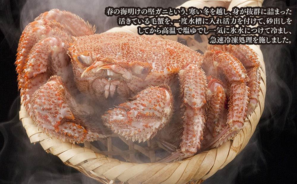 【先行予約】北海道オホーツク産 毛ガニ 500g 前後×2尾 計1kg（2024年5月中旬発送予定）