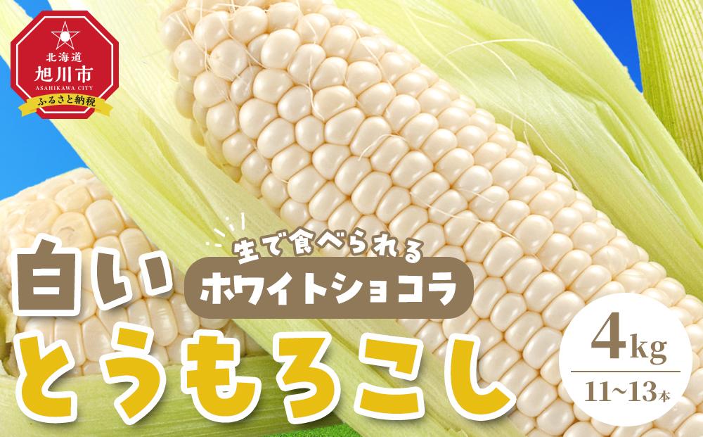 【先行予約】【旭川近郊産】白いとうもろこし（ホワイトショコラ他）4kg＜11-13本＞(2025年8月上旬発送開始予定)【 人気 北海道産 糖度 生 野菜 スイートコーン 産地直送 バーベキュー BBQ コーン 旬 お取り寄せ 旭川市 北海道 送料無料 】_00093