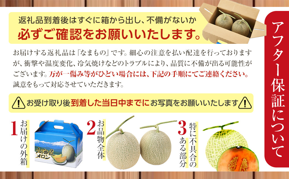【26年発送先行予約】北海道産赤肉メロン約1.6kg×2玉 (2026年7月中旬から発送開始予定) 【 果物 くだもの フルーツ メロン 赤肉 赤肉メロン 旬 お取り寄せ 甘い 北海道産 旭川市 北海道 】_02061