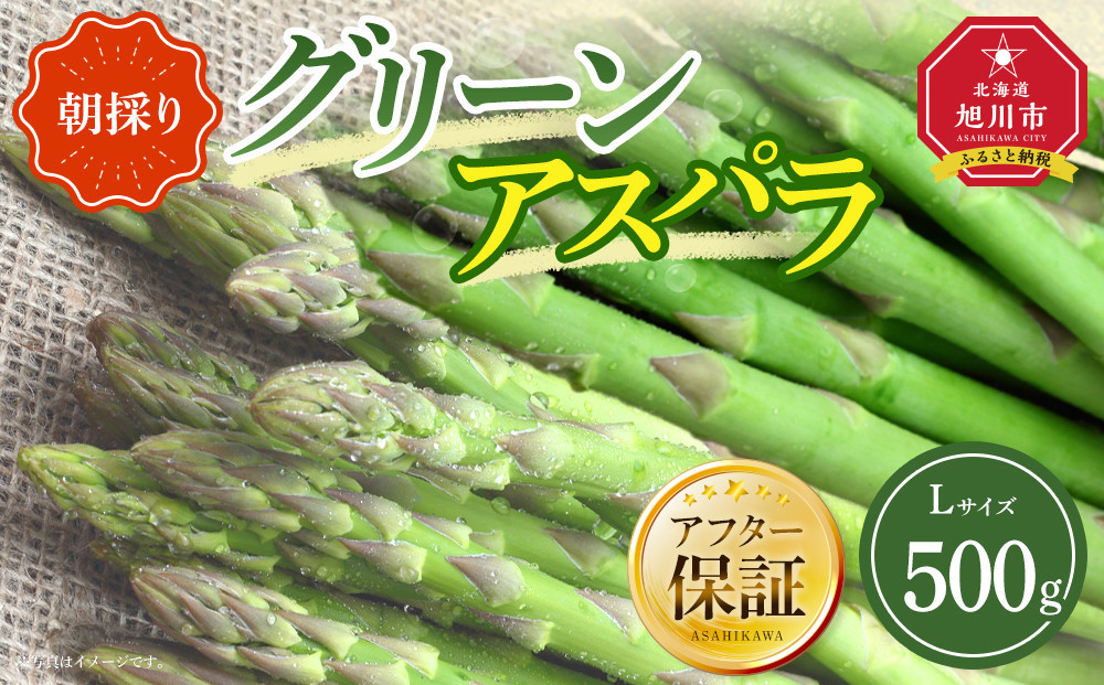 【先行予約】朝採り グリーンアスパラ L 500g (2026年5月下旬発送開始) 【 アスパラ アスパラガス グリーンアスパラ 【先行予約】朝採り 直送 産地直送 旬 春 北海道 とれたて お取り寄せ 冷蔵配送 冷蔵 旭川市 】 _04657