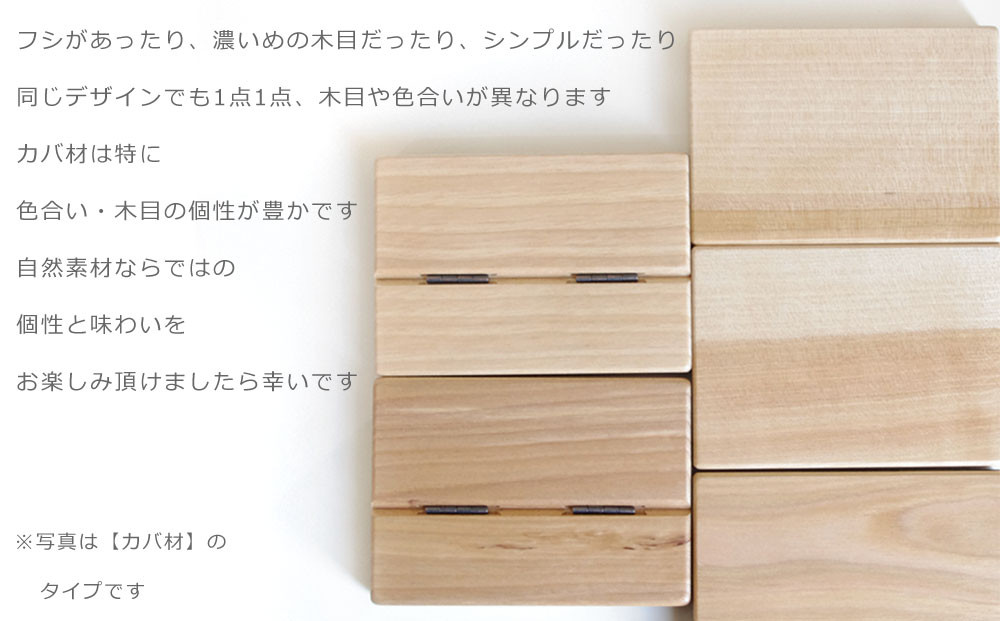 æšè£œååºå
¥ã Business card case (ããžãã¹ã«ãŒãã±ãŒã¹)ã»W_04893