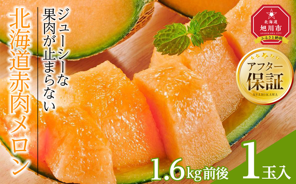 【26年発送先行予約】北海道産赤肉メロン　1玉入り　1.6kg前後（2026年7月中旬から発送開始予定） 【 果物 くだもの フルーツ メロン 赤肉 赤肉メロン 旬 お取り寄せ 甘い 北海道産 旭川市 北海道 】_04752