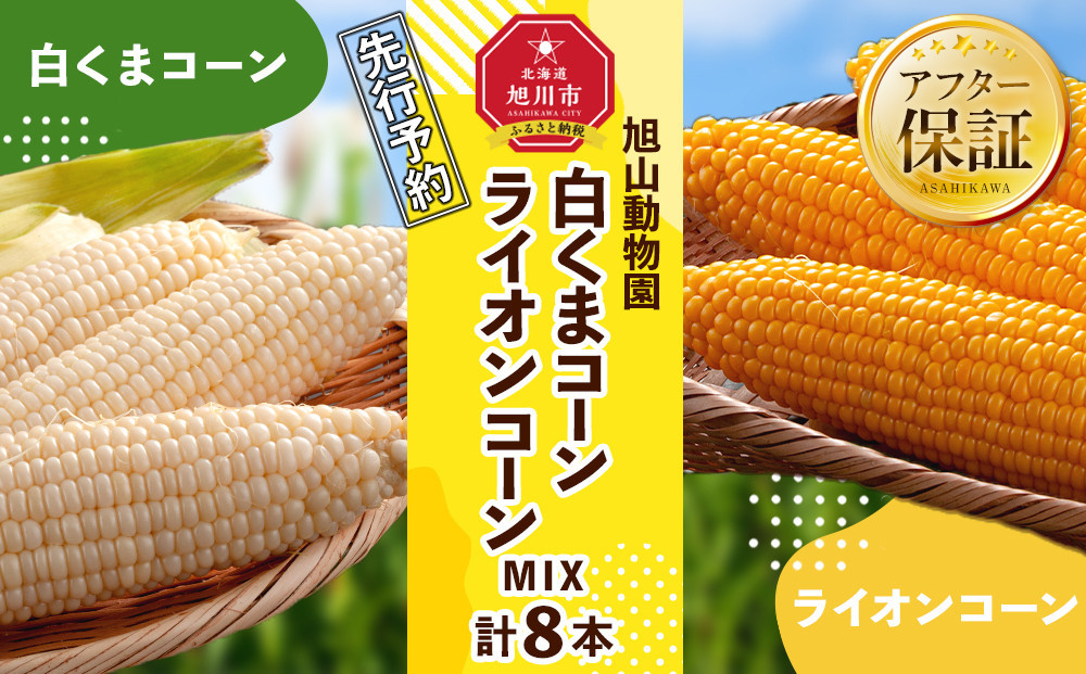 【26年発送先行予約】旭山動物園　白くまコーン4本　ライオンコーン4本　MIX　合計8本（2026年8月中旬から発送開始予定）【 とうもろこし 人気 北海道 糖度 野菜 白いとうもろこし 白いスイートコーン 産地直送 ホワイトレディ ゴールドラッシュ コーン 玉蜀黍 旬 お取り寄せ 旭川市 北海道 】_03815
