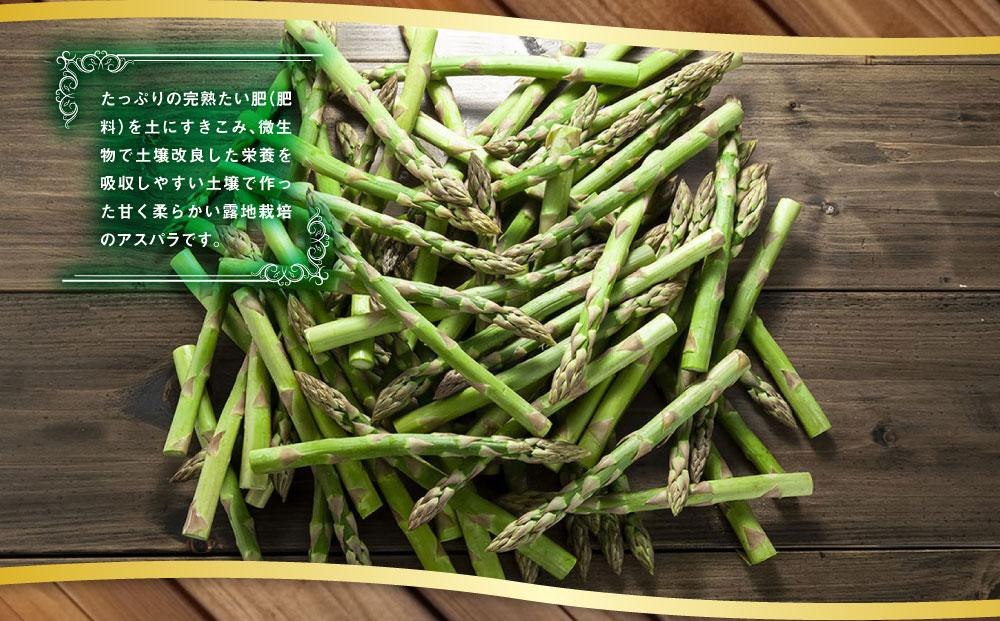 【2026年先行予約】露地物朝採りアスパラ 2L～3Lサイズ800g（400g×2）鮮度保持フィルム入り(5月中旬発送開始予定) 【 アスパラ アスパラガス 朝採り とれたて 野菜 旬 小分け 保存 産直 産地直送 お取り寄せ 旭川市 北海道 】_01593