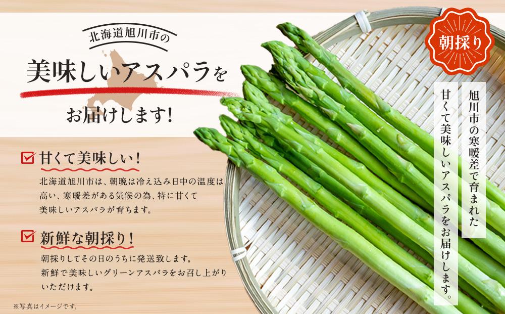朝採り グリーンアスパラ M～2L 1.2kg (2026年5月下旬発送開始予定) 【 アスパラ アスパラガス 朝採り とれたて 野菜 旬 小分け 保存 産直 産地直送 お取り寄せ 旭川市 北海道 】_01705