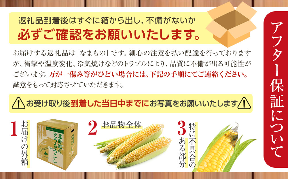 【26年先行予約】朝採り とうもろこし ゴールドラッシュ 約4.8kg (M～Lサイズ×15本)(2026年8月中旬発送予定) 【 人気 北海道産 糖度 生 野菜 スイートコーン 産地直送 バーベキュー BBQ コーン 旬 お取り寄せ 旭川市 北海道 】_03903
