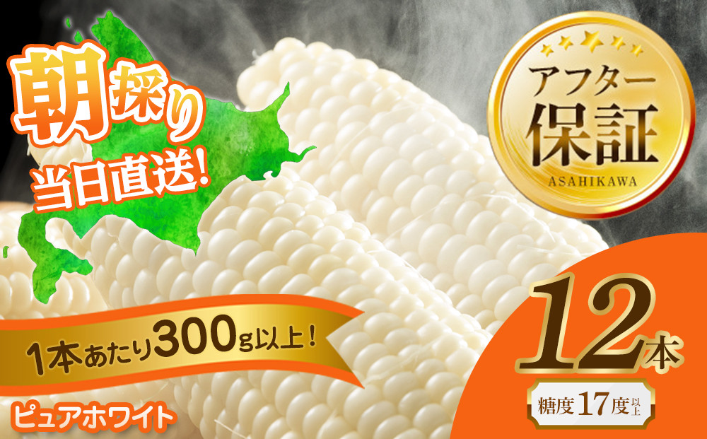 【2026年先行予約】白いとうもろこしピュアホワイト 12本 3.6kg（2026年8月下旬から発送開始予定）【 人気 北海道産 糖度 生 野菜 スイートコーン 産地直送 バーベキュー BBQ コーン 旬 お取り寄せ 旭川市 北海道 送料無料 】_00407