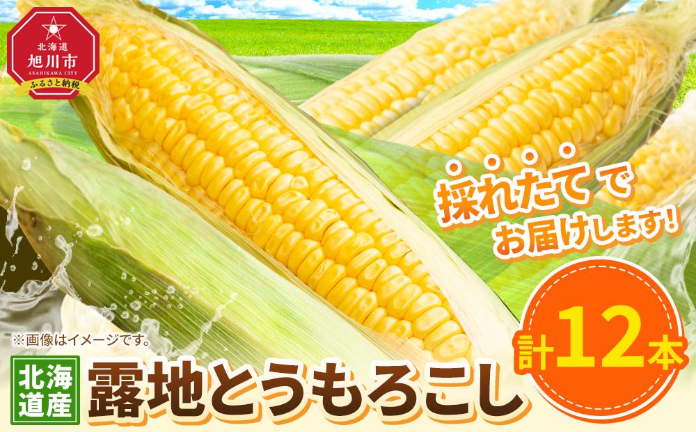 【先行予約】露地とうもろこし　合計12本　2025年8月下旬から発送開始予定 【とうもろこし 人気 北海道産 糖度 生 野菜 スイートコーン 産地直送 バーベキュー BBQ コーン 旬 お取り寄せ 旭川市 北海道 】_04755