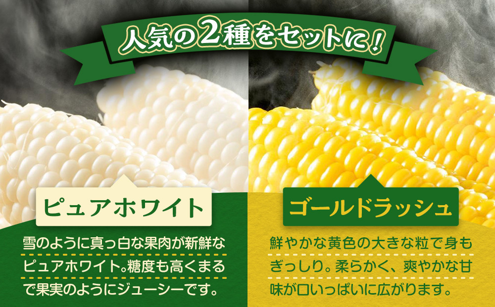 【2026年先行予約】とうもろこしコラボセット!　ピュアホワイト4本×ゴールドラッシュ4本（2026年8月下旬から発送開始予定）【 白いとうもろこし 人気 北海道産 糖度 生 野菜 スイートコーン 産地直送 バーベキュー BBQ コーン 旬 お取り寄せ 旭川市 北海道 】_04561