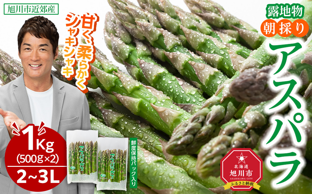 【2026年先行予約】露地物朝採りアスパラ　鮮度保持フィルム入り　2～3L　500g×2　合計1kg(5月中旬発送開始予定) 【 アスパラ アスパラガス 朝採り とれたて 野菜 旬 小分け 保存 産直 産地直送 お取り寄せ 旭川市 北海道 】_03817