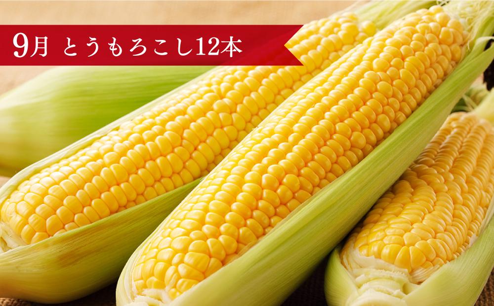 【先行受付】北海道旭川市からお届け～旬の野菜果物4回コース～（定期便：2024年8月より）_00230