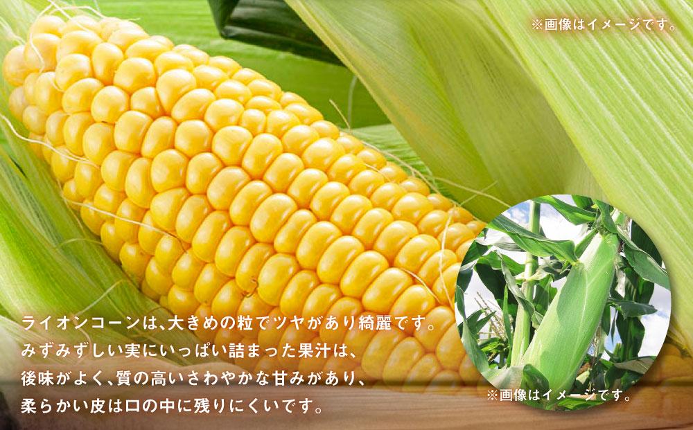 ã26幎çºéå
è¡äºçŽãããã²ããŸåç©åã©ã€ãªã³ã³ãŒã³çŽ4kg(ãŽãŒã«ãã©ãã·ã¥10æ¬)2026幎8æäžæ¬ããçºééå§äºå® ã ãšããããã äººæ° åæµ·é ç³åºŠ éè ã¹ã€ãŒãã³ãŒã³ ç£å°çŽé ãŽãŒã«ãã©ãã·ã¥ ã³ãŒã³ æ¬ ãåãå¯ã æå·åž åæµ·é ã_00307