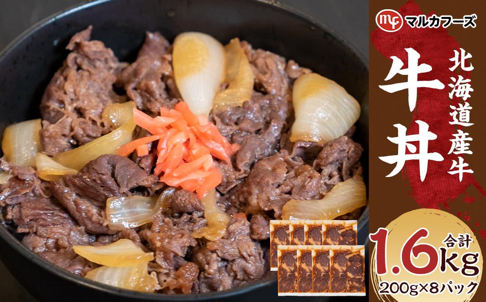 【北海道産牛】牛丼 小分け 計1.6キロ！（200g×8）