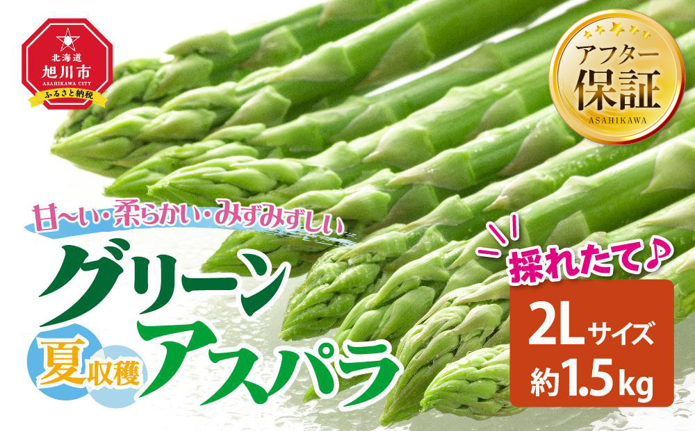 【2026年先行予約】夏収穫グリーンアスパラ 2Lサイズ 1.5kg（2026年7月下旬から発送開始予定）【 アスパラ アスパラガス 朝採り とれたて 野菜 旬 小分け 保存 産直 産地直送 お取り寄せ 旭川市 北海道 】_00415
