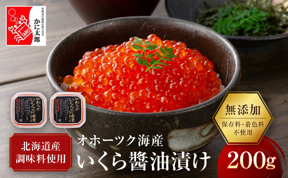【26年10月発送先行予約】無添加 職人仕込み イクラ 200g (100g×2) 【いくら 醤油漬け いくら醤油漬 小分け 無添加 冷凍 魚卵 お取り寄せ 人気 鮭いくら 旭川市 北海道ふるさと納税 北海道】 _01595