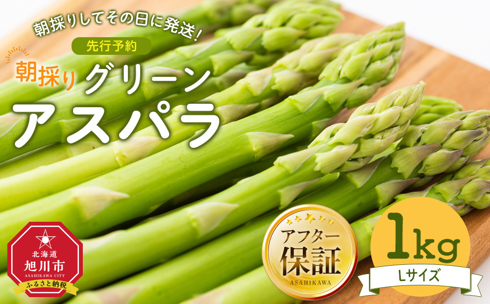 【先行予約】朝採り グリーンアスパラ L 1kg (2026年5月下旬発送開始) 【 アスパラ アスパラガス グリーンアスパラ 【先行予約】朝採り 直送 産地直送 旬 春 北海道 とれたて お取り寄せ 冷蔵配送 冷蔵 旭川市 】_03901