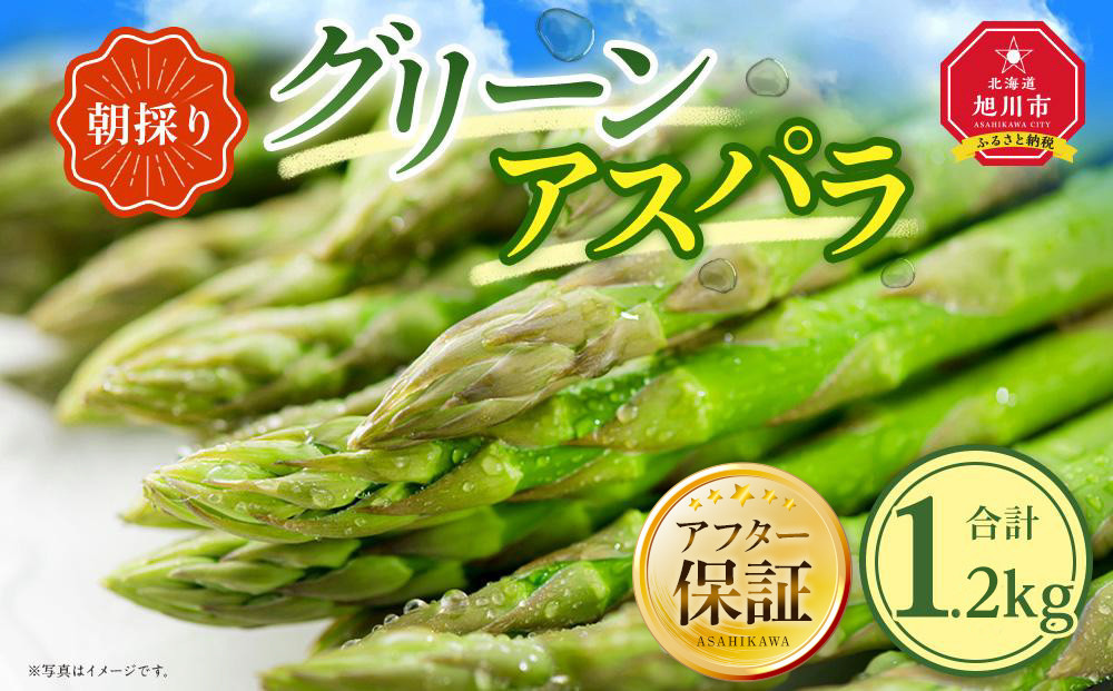 【先行予約】朝採り グリーンアスパラ M～2L 1.2kg (2026年5月下旬発送開始予定) 【 アスパラ アスパラガス 朝採り とれたて 野菜 旬 小分け 保存 産直 産地直送 お取り寄せ 旭川市 北海道 】_01705