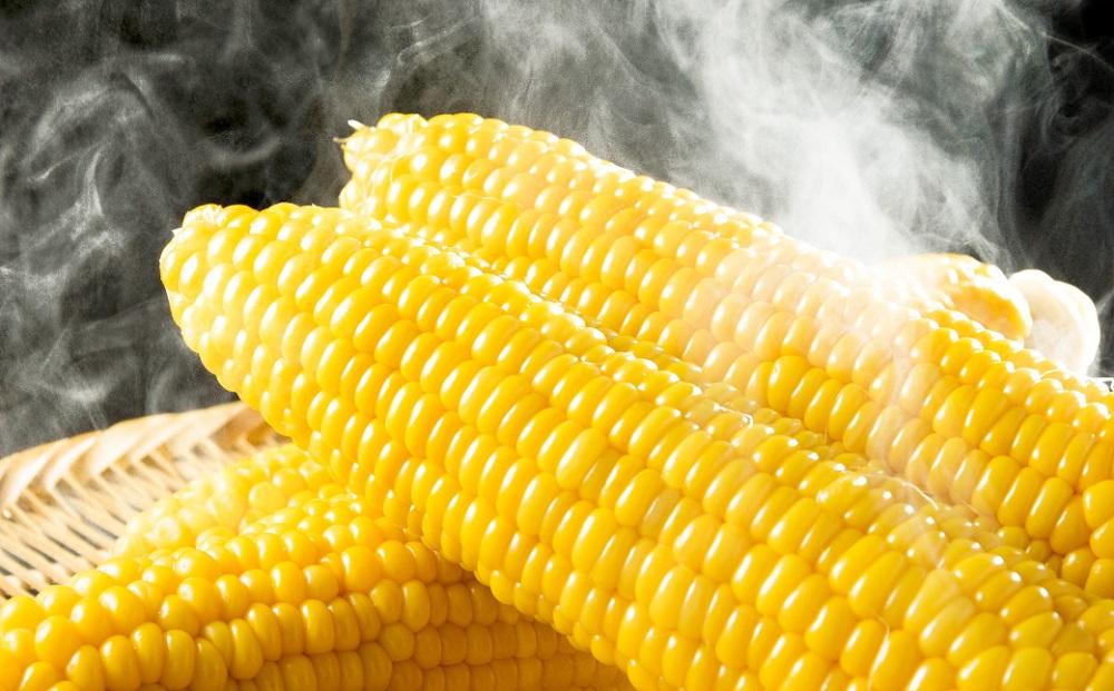 【2026年先行予約】とうもろこしコラボセット!　ピュアホワイト5本×ゴールドラッシュ5本（2026年8月下旬から発送開始予定）【 白いとうもろこし 人気 北海道産 糖度 生 野菜 スイートコーン 産地直送 バーベキュー BBQ コーン 旬 お取り寄せ 旭川市 北海道 】_03648