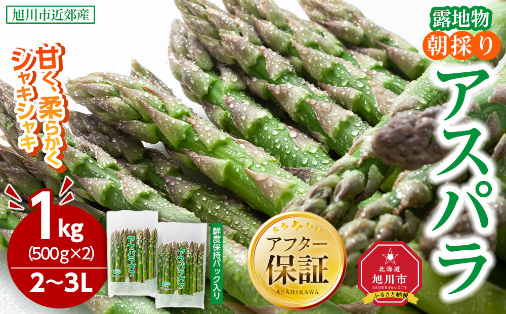 【2026年先行予約】露地物朝採りアスパラ　鮮度保持フィルム入り　2～3L　500g×2　合計1kg(5月中旬発送開始予定) 【 アスパラ アスパラガス 朝採り とれたて 野菜 旬 小分け 保存 産直 産地直送 お取り寄せ 旭川市 北海道 】_03817