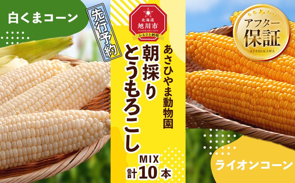 【26年発送先行予約】朝採りとうもろこしMIX10本 4kg あさひやま動物園 白くまコーンとライオンコーンのミックス（2026年8月中旬から発送開始予定）【 とうもろこし 人気 北海道 糖度 野菜 白いとうもろこし 白いスイートコーン 産地直送 ホワイトレディ ゴールドラッシュ コーン 玉蜀黍 旬 お取り寄せ 旭川市 北海道 】_02157