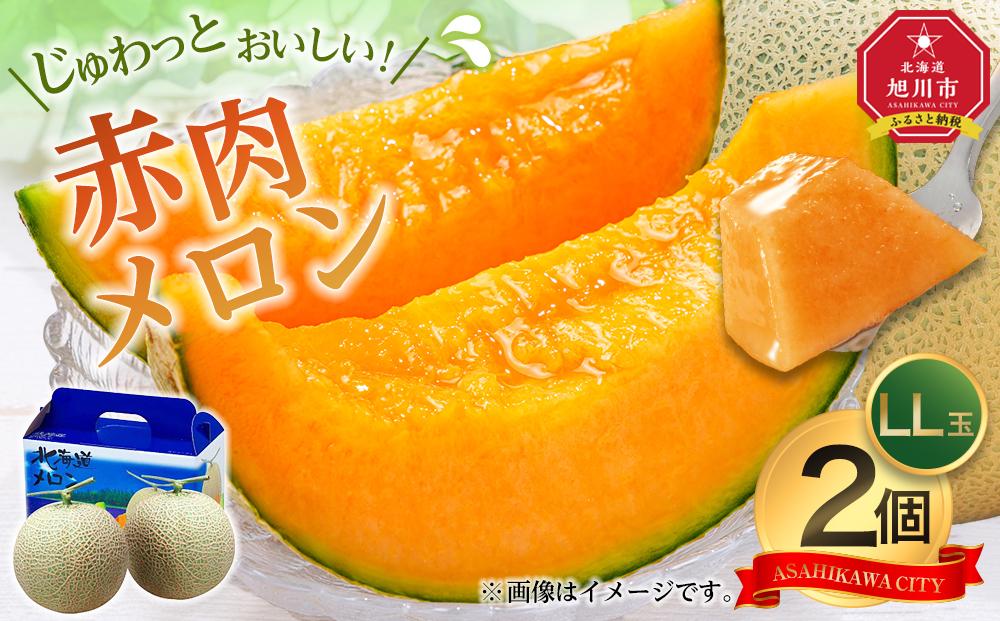 【26年発送先行予約】北海道「赤肉メロン」LL玉×2個 (2026年7月発送開始予定) 【 果物 くだもの フルーツ メロン 赤肉 赤肉メロン 旬 お取り寄せ 甘い 北海道産 旭川市 北海道 】_04754