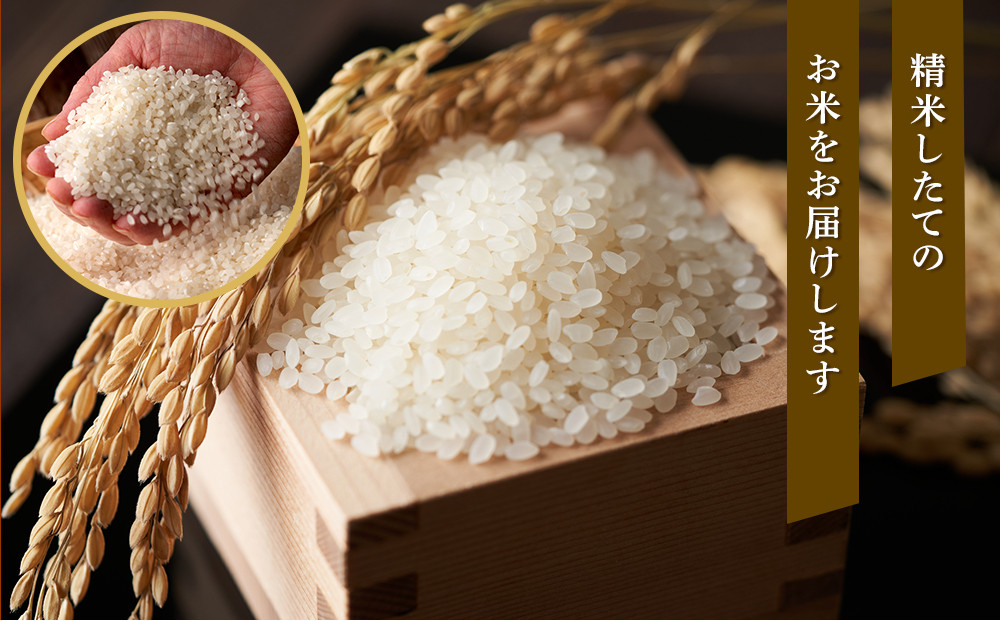 【特Aランク】令和7年 北海道産ゆめぴりか・ななつぼし食べ比べセット 10kg(各5kg) 【 白米 精米 ご飯 ごはん 米 お米 旭川市ふるさと納税 北海道ふるさと納税 】 _04809