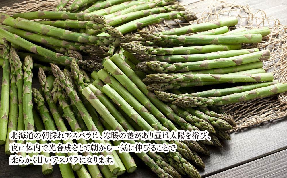 【2026年先行予約】朝採りアスパラ Lサイズ 3kg（500g×6）鮮度保持パック入り 旭川近郊産 露地物(5月中旬発送開始予定) 【 アスパラ アスパラガス 朝採り とれたて 野菜 旬 小分け 保存 産直 産地直送 お取り寄せ 旭川市 北海道 】_01592