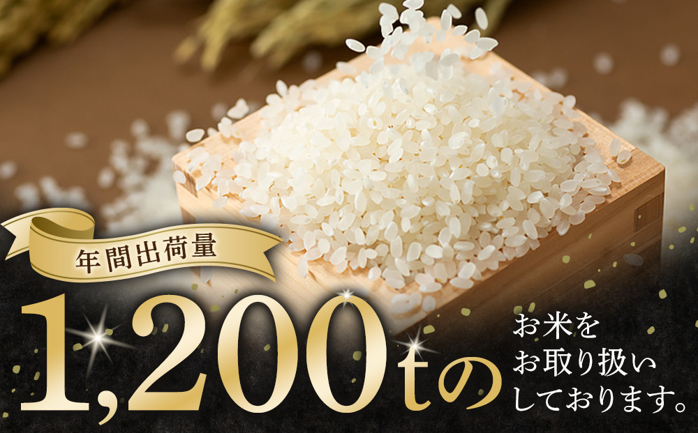 【特Aランク】令和7年 北海道産ゆめぴりか 10kg(5kg×2袋) 【 白米 精米 ご飯 ごはん 米 お米 旭川市ふるさと納税 北海道ふるさと納税 】_04806