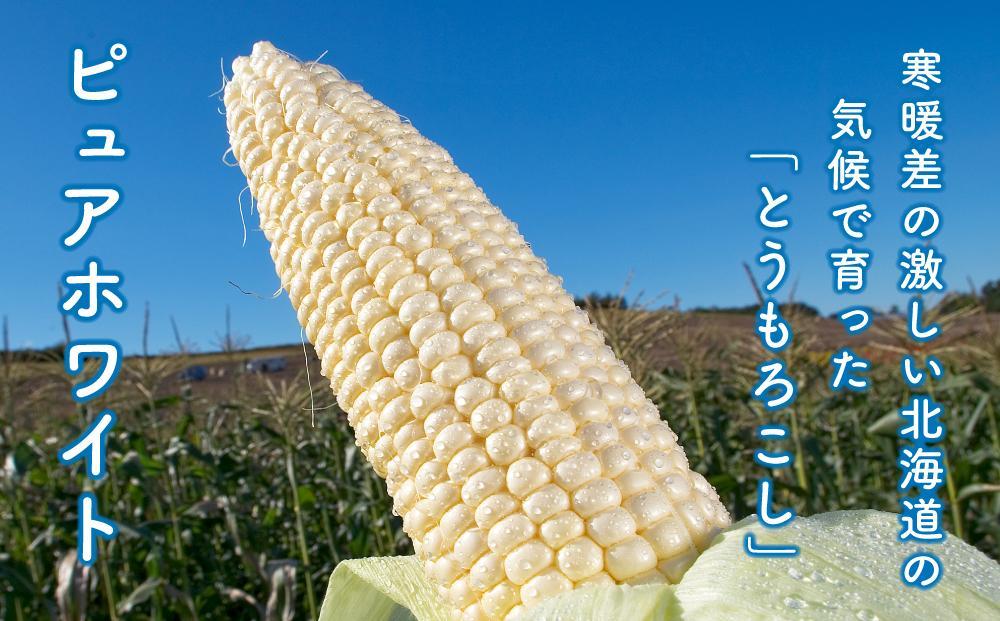 【2026年先行予約】白いとうもろこしピュアホワイト 8本 2.4kg（2026年8月下旬から発送開始予定）【 人気 北海道産 糖度 生 野菜 スイートコーン 産地直送 バーベキュー BBQ コーン 旬 お取り寄せ 旭川市 北海道 送料無料 】_04559