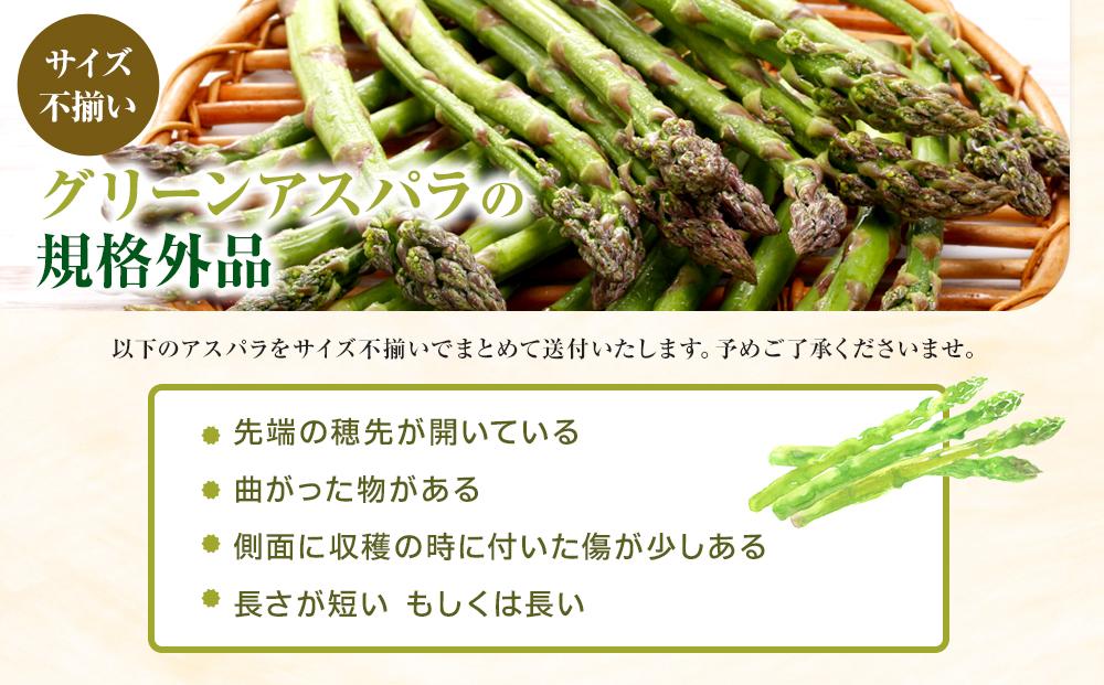 【先行予約】訳ありグリーンアスパラサイズ不揃い1kg（500g×2袋）2026年5月から発送開始予定 【 アスパラ アスパラガス 朝採り とれたて 野菜 旬 小分け 保存 産直 産地直送 お取り寄せ 旭川市 北海道 】_04841
