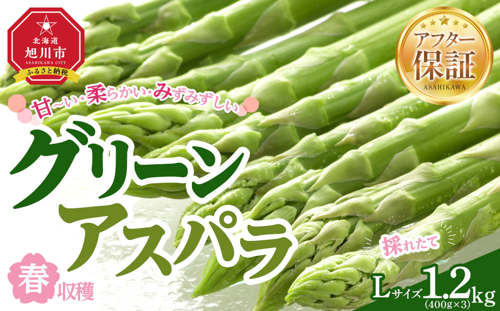 【先行予約】春収穫グリーンアスパラLサイズ（400g×3）約1.2kg（2026年6月上旬から発送開始予定）【 アスパラ アスパラガス 朝採り とれたて 野菜 旬 小分け 保存 産直 産地直送 お取り寄せ 旭川市 北海道 】_05534
