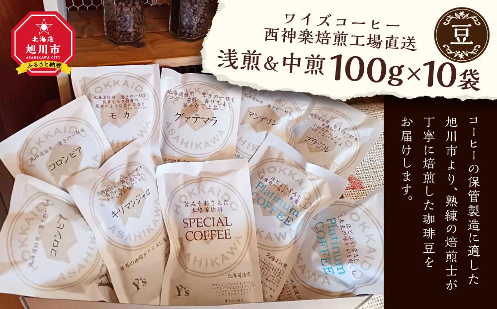 【豆】浅煎＆中煎　100ｇ×10袋　北海道旭川焙煎　ワイズコーヒー西神楽焙煎工場直送