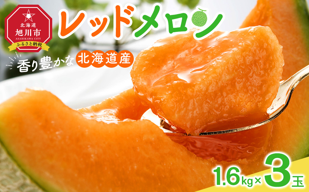 【26年発送先行予約】香り豊かな 北海道レッドメロン 1.6kg×3玉(2026年7月下旬から発送開始予定) 【 果物 くだもの フルーツ メロン 赤肉 赤肉メロン 旬 お取り寄せ 甘い 北海道産 旭川市 北海道 】_05411