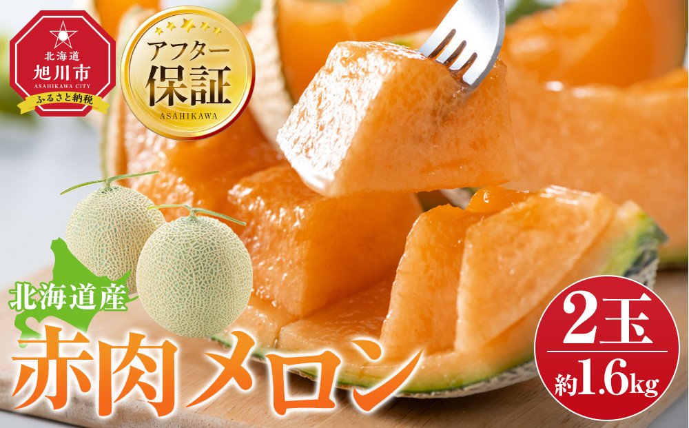【26年発送先行予約】北海道産赤肉メロン約1.6kg×2玉 (2026年7月中旬から発送開始予定) 【 果物 くだもの フルーツ メロン 赤肉 赤肉メロン 旬 お取り寄せ 甘い 北海道産 旭川市 北海道 】_02061