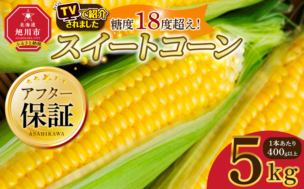 地元テレビで紹介!【先行予約】糖度18～19度! 北海道旭川産スイートコーン約5kg (2026年8月中旬発送開始予定) 【 とうもろこし コーン ゴールドラッシュ 野菜 旬 お取り寄せ 北海道 旭川市 】_05256
