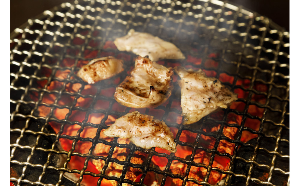 焼肉　魂　塩ホルモン100g×5_04954