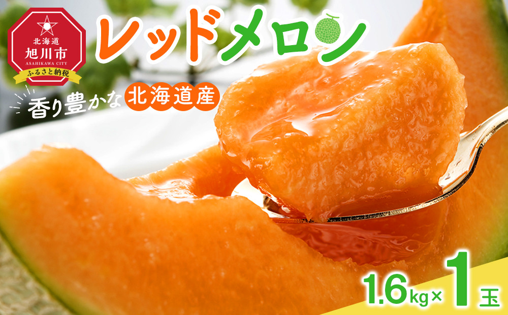 【26年発送先行予約】香り豊かな 北海道レッドメロン 1.6kg×1玉(2026年7月下旬から発送開始予定) 【 果物 くだもの フルーツ メロン 赤肉 赤肉メロン 旬 お取り寄せ 甘い 北海道産 旭川市 北海道 】_05410
