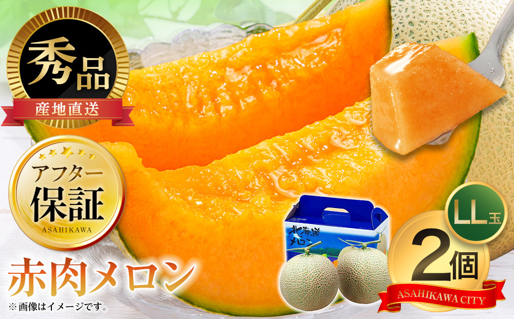 【26年発送先行予約】北海道 秀品 「赤肉メロン」LL玉×2個 (2026年7月発送開始予定) 【 果物 くだもの フルーツ メロン 赤肉 赤肉メロン 旬 お取り寄せ 甘い 北海道産 旭川市 北海道 】_04754