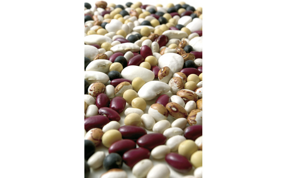 蝗ス逕」蜀キ蜃埼手除縲闥ク縺苓ア繝溘ャ繧ッ繧ケ縲2陲九そ繝繝_05598