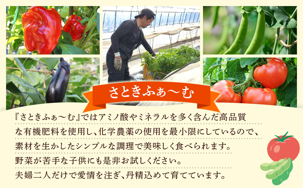 【先行予約】旭川のおまかせ野菜セット(8種以上) (2026年7月下旬発送開始)_05909