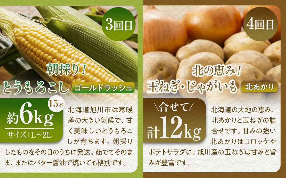 【26年先行予約】北海道旬の野菜を満喫！詰め合わせ定期便Bセット(4回)_02068