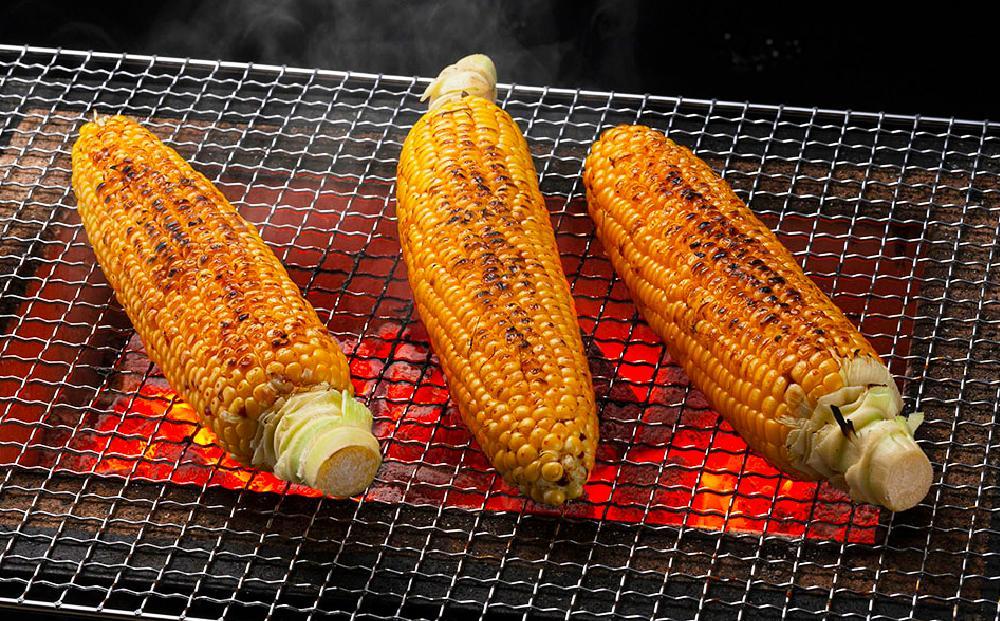 ã26幎çºéå
è¡äºçŽãæå±±åç©åãçœããŸã³ãŒã³4æ¬ãã©ã€ãªã³ã³ãŒã³4æ¬ãMIXãåèš8æ¬ïŒ2026幎8æäžæ¬ããçºééå§äºå®ïŒã ãšããããã äººæ° åæµ·é ç³åºŠ éè çœããšããããã çœãã¹ã€ãŒãã³ãŒã³ ç£å°çŽé ãã¯ã€ãã¬ã㣠ãŽãŒã«ãã©ãã·ã¥ ã³ãŒã³ çèé» æ¬ ãåãå¯ã æå·åž åæµ·é ã_03815