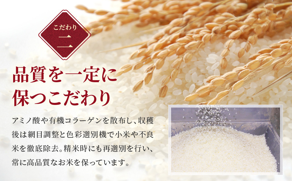 令和7年産　無洗米ゆめぴりか 5kg×2袋 10kg_05679