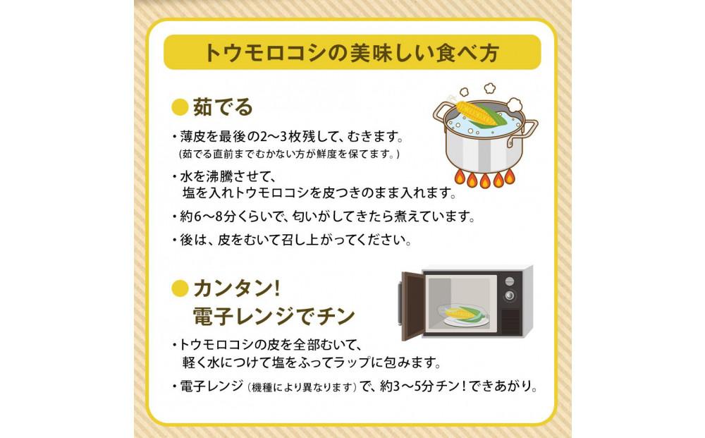 【先行予約】かに太郎がお届けする 2025年発送 定期便Aセット（2025年7月頃より合計4回）_01193