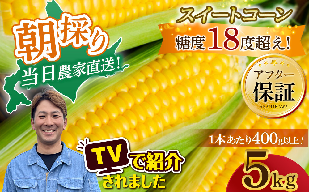 地元テレビで紹介!【先行予約】糖度18～19度! 北海道旭川産朝採れスイートコーン約5kg (2026年8月中旬発送開始予定) 【 とうもろこし コーン ゴールドラッシュ 野菜 旬 お取り寄せ 北海道 旭川市 】_05256